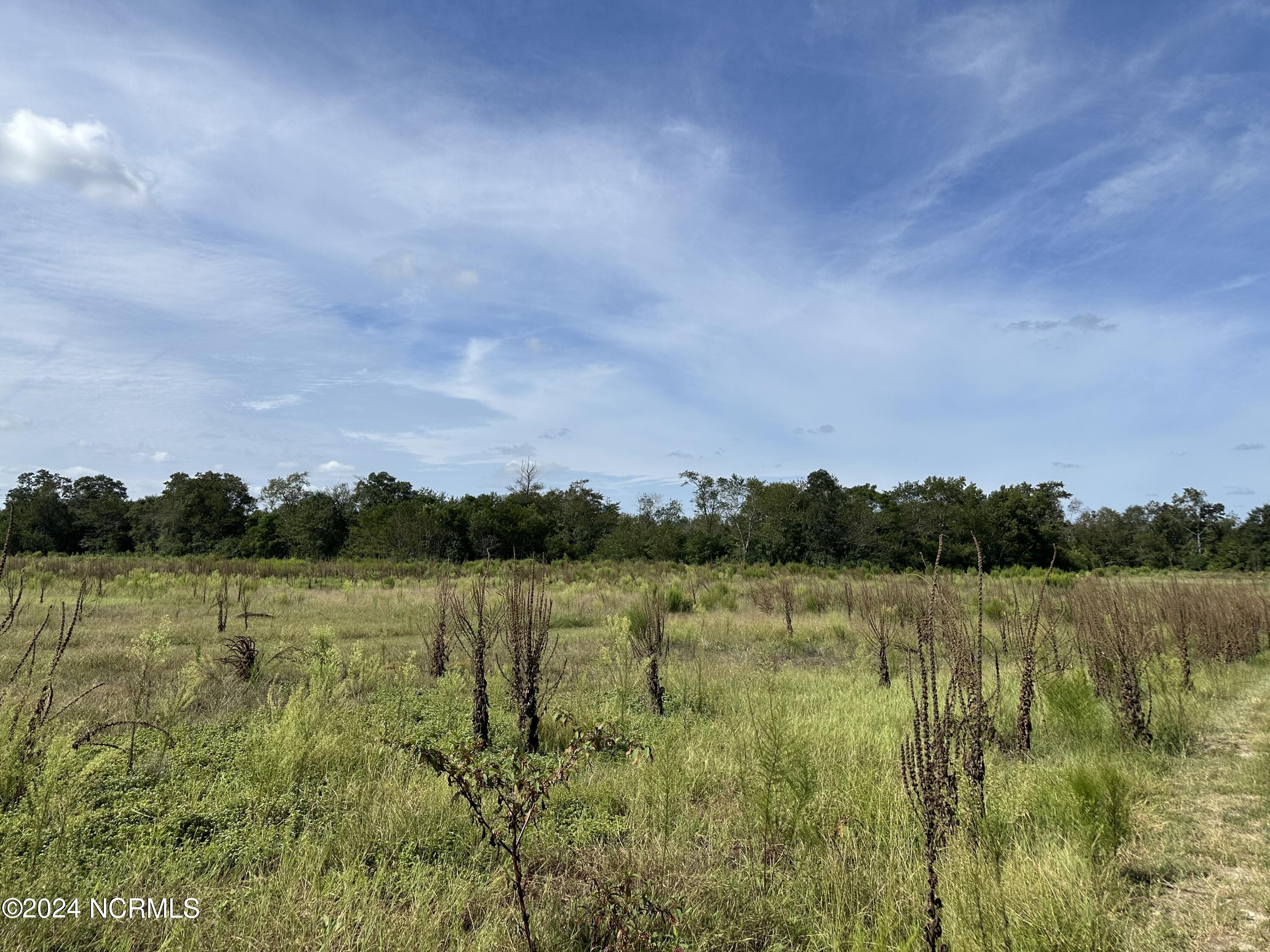 2 McGirt Road Maxton, NC 28364 - Photo 2 of 6 IMG_5948