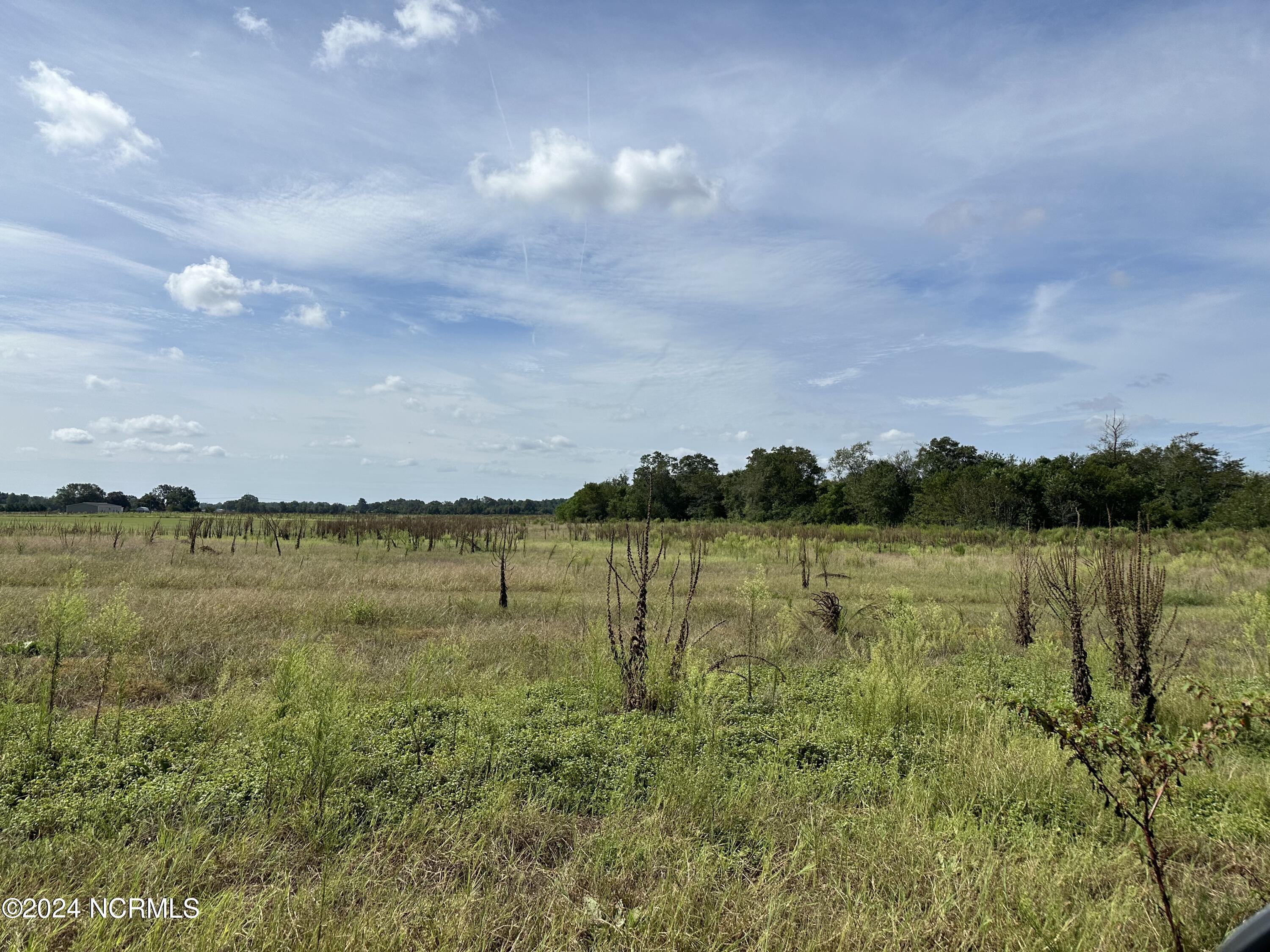 2 McGirt Road Maxton, NC 28364 - Photo 3 of 6 IMG_5947
