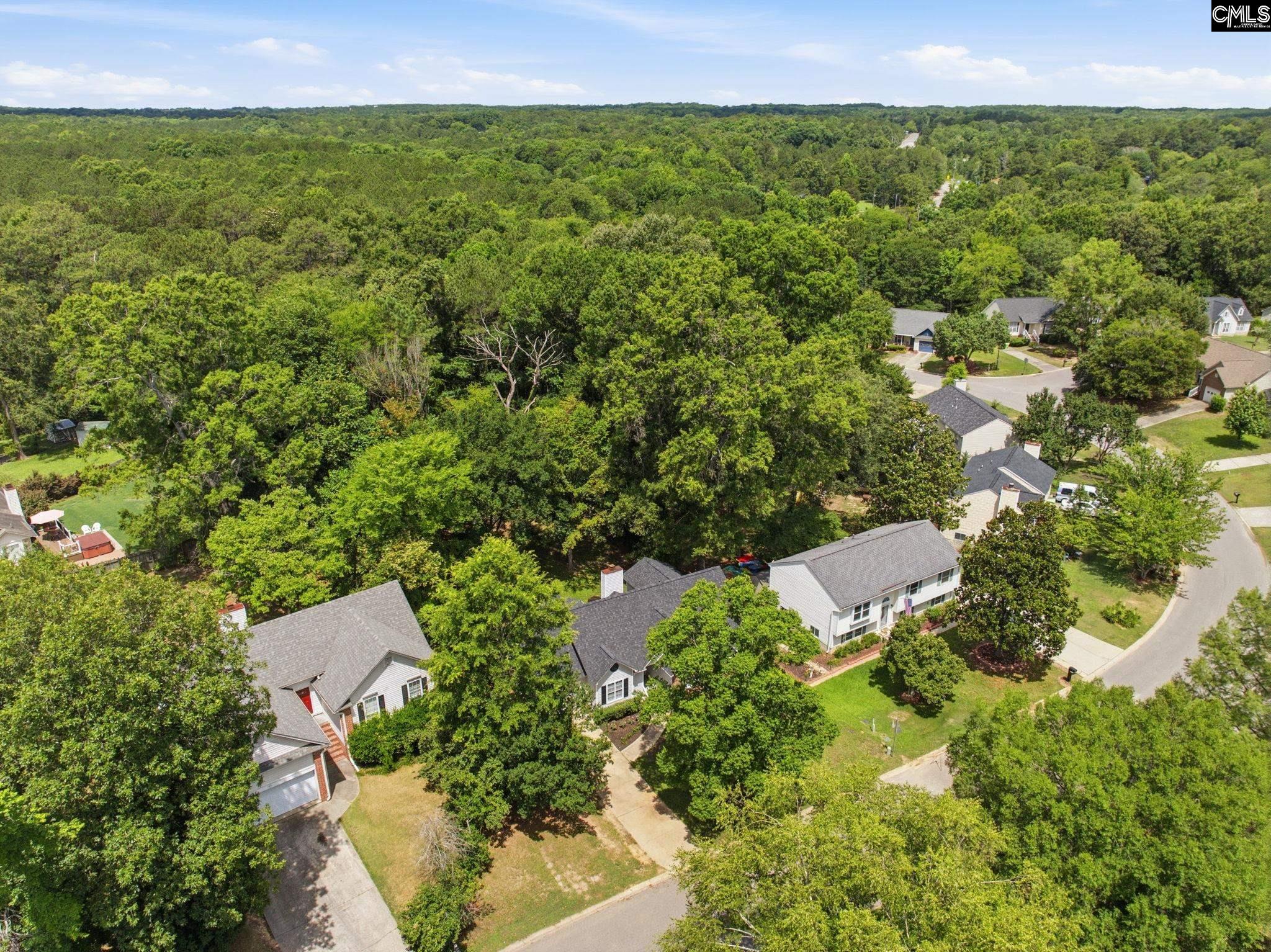 1321 Riverwalk Way Irmo, SC 29063 - Photo 7 of 36