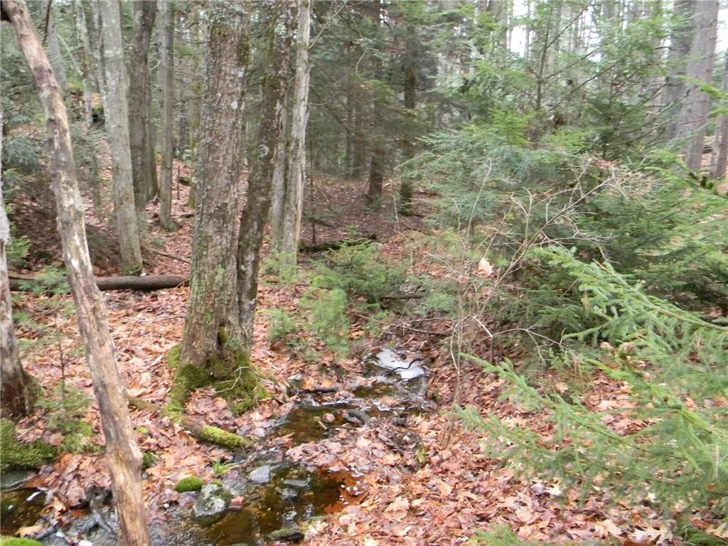0 Junction Road Westport Island, ME 04578 - Photo 8 of 18 Photo