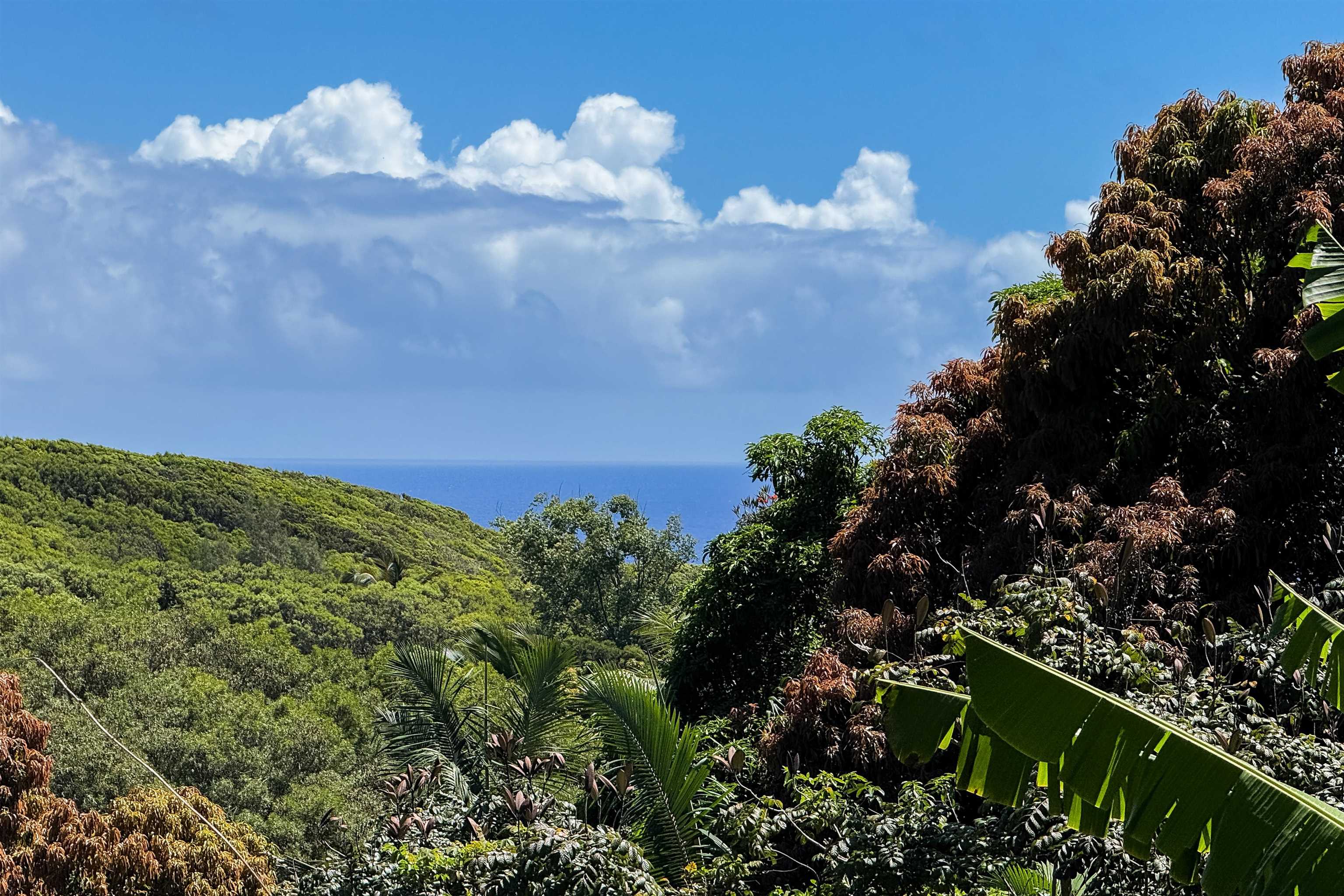 420 Haumana Road Haiku, HI 96708 - Photo 4 of 50