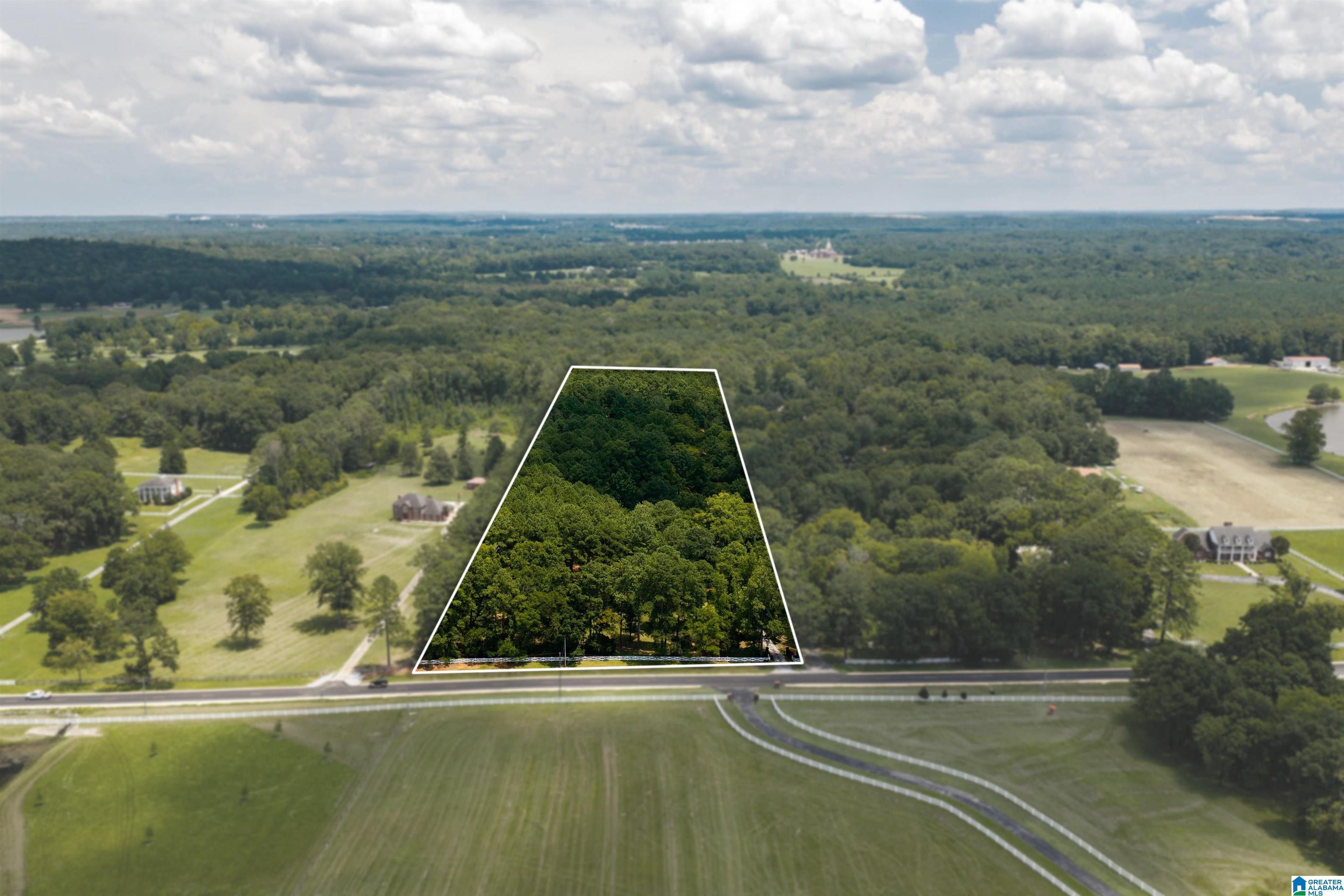 2314 Salem Road Montevallo, AL 35115 - Photo 3 of 69 Gallery Image 3