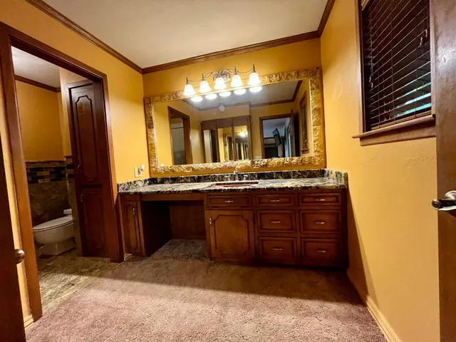 a bathroom with a shower and a toilet
