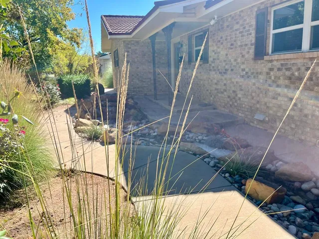 a view of a yard with plants and trees