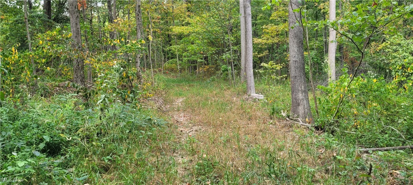 343 County Road Coshocton, OH 43812 - Photo 17 of 49 Gallery Image 17