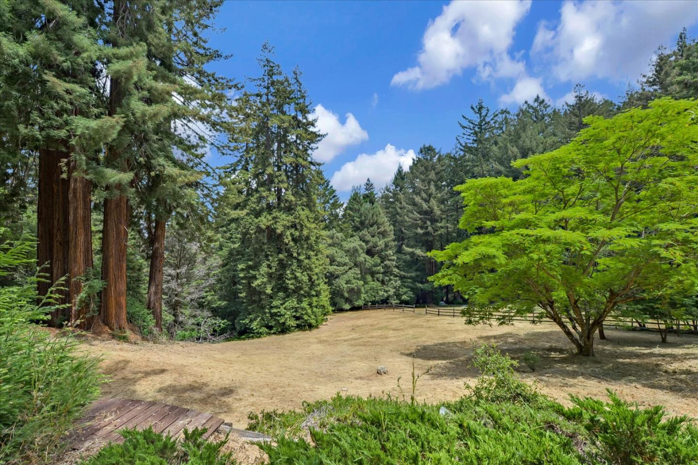 35 Echo Lane Woodside, CA 94062 - Photo 53 of 54 a view of a yard with plants and trees