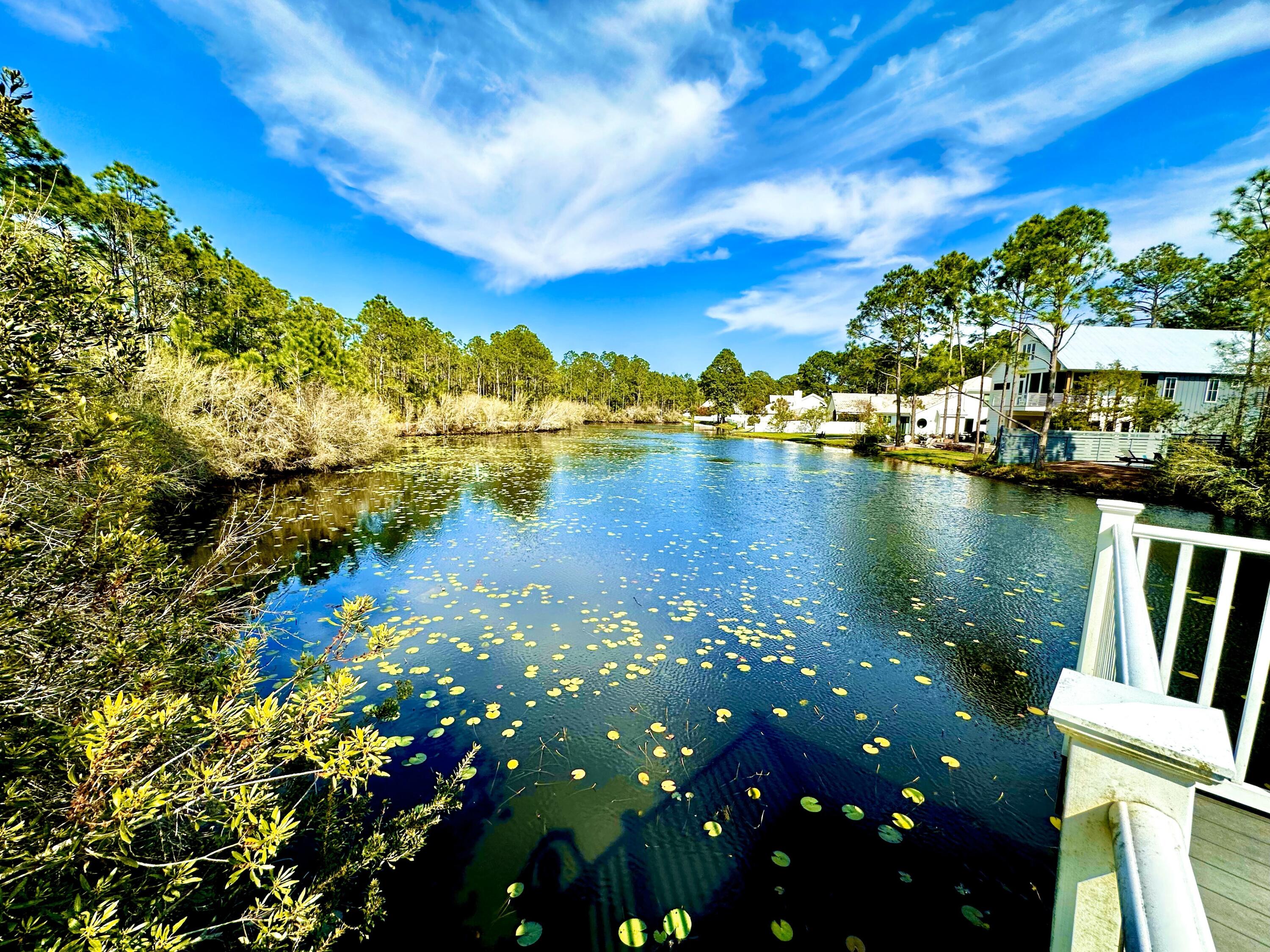 231 Somerset Bridge Road, Unit 1105 Santa Rosa Beach, FL 32459 - Photo 32 of 39 20230311_201248668_iOS 1