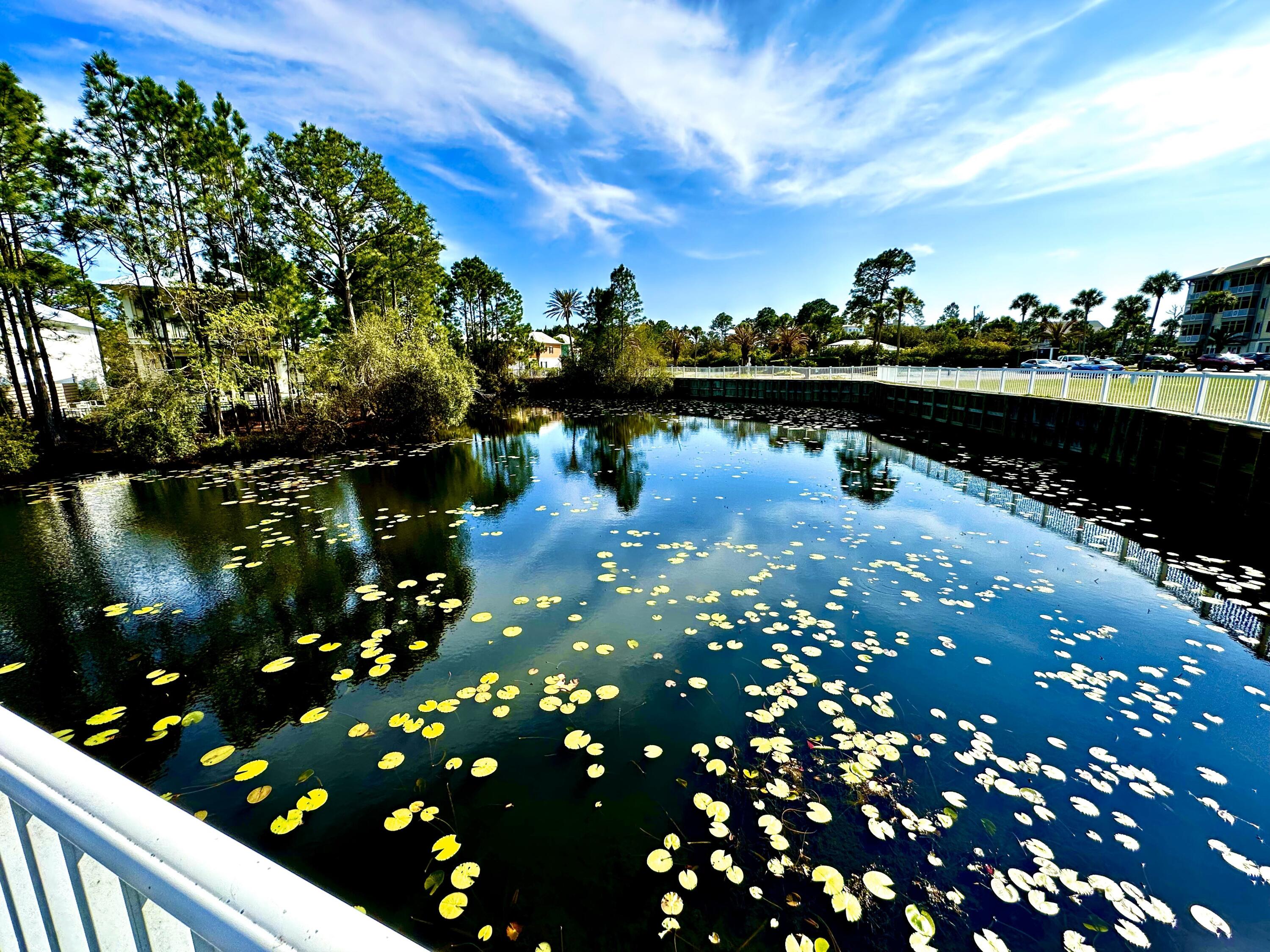 231 Somerset Bridge Road, Unit 1105 Santa Rosa Beach, FL 32459 - Photo 33 of 39 20230311_201308182_iOS 1