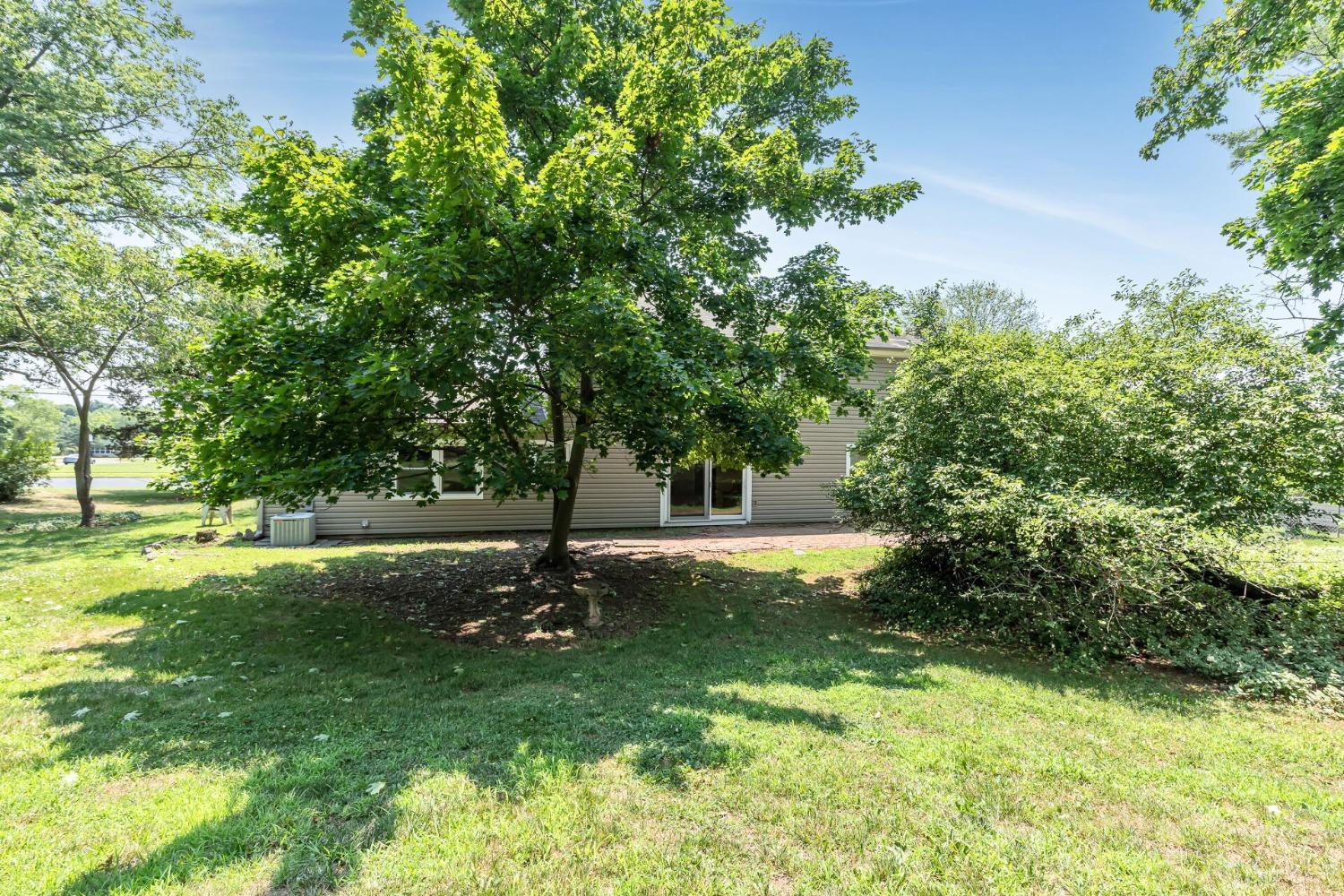 117 Drake Road Somerset, NJ 08873 - Photo 40 of 42 a view of a tree in a yard