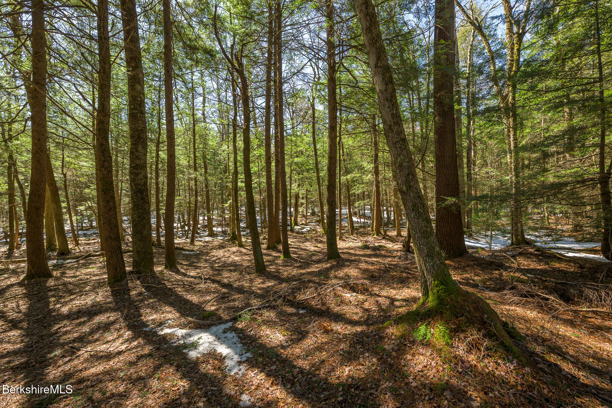 545 West Center Road Otis, MA 01253 - Photo 56 of 60 Screen - 545 W Center Rd Otis MA 01253-9