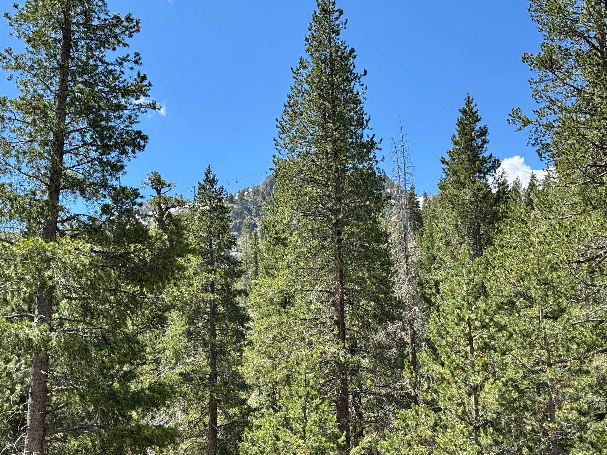 415 Shirley Cyn Road, Unit 8 Olympic Valley, CA 96146 - Photo 14 of 26