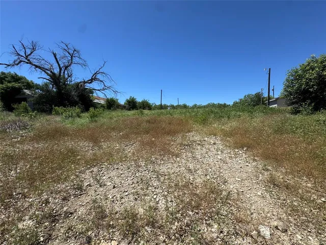 a view of a yard with an tree