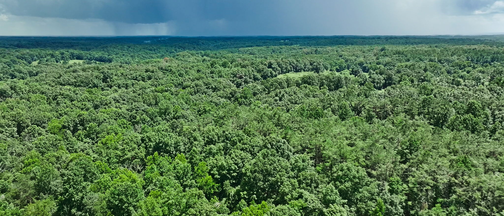 0 Barren Fork Bridge Road Bon Aqua, TN 37025 - Photo 21 of 28