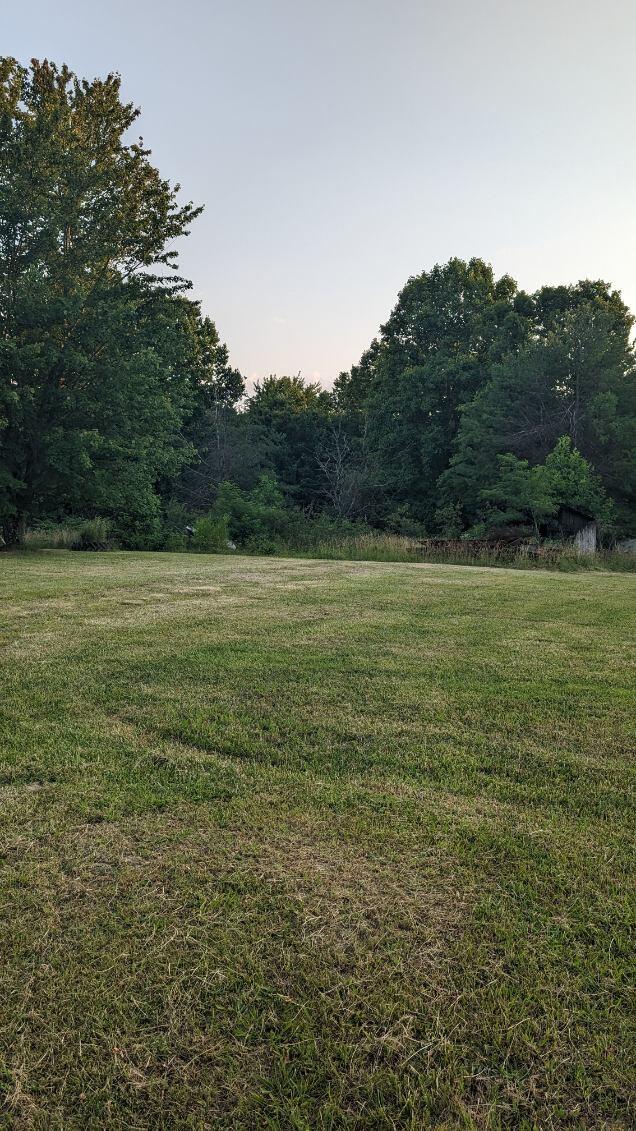 4770 Goddard Road Wallingford, KY 41093 - Photo 5 of 5 image000005