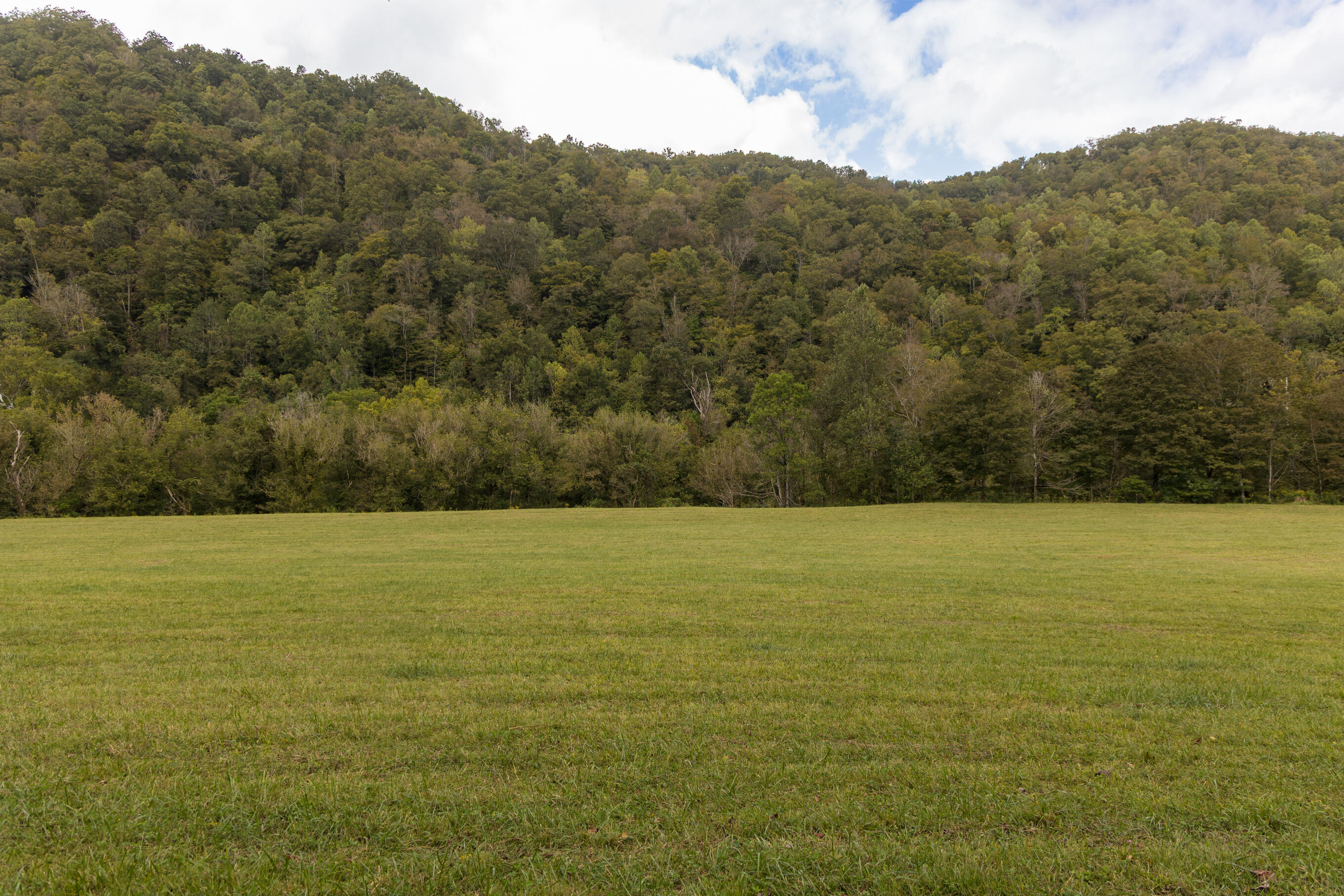 251 Everett Byrd Road Ricetown, KY 41364 - Photo 44 of 54 FO7A9268