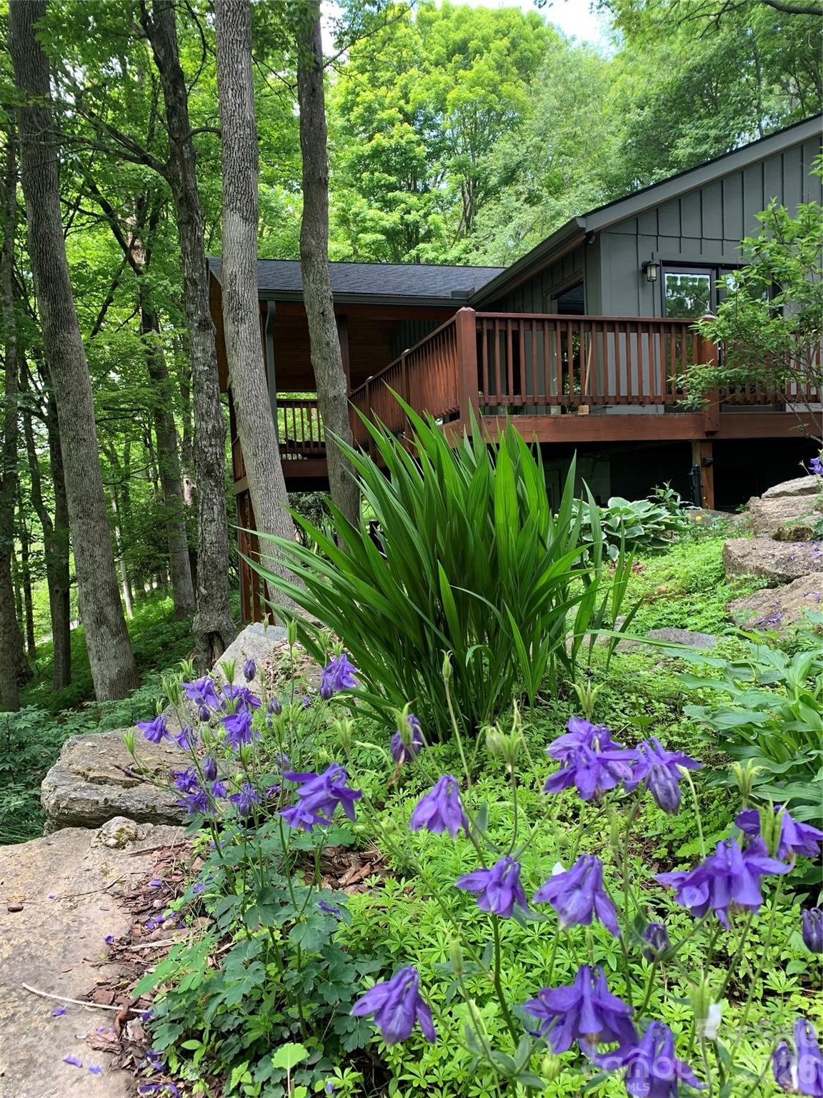 1209 McKinney Gap Road Mars Hill, NC 28754 - Photo 5 of 37