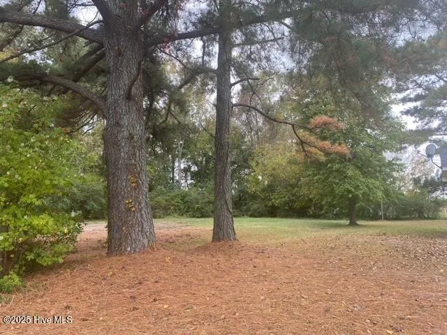 $14,000 | 413 Pecan Street, Robersonville, NC 27871