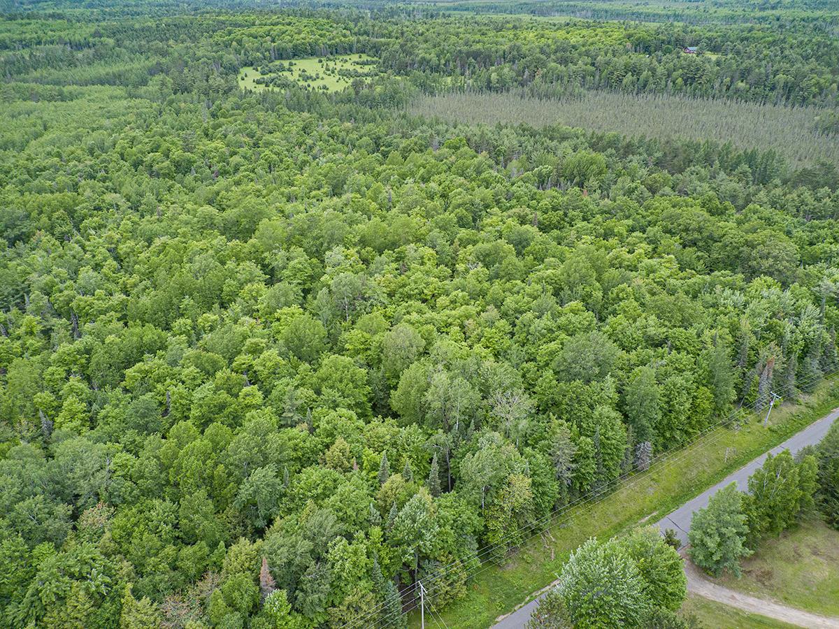 Off Monheim Road Conover, WI 54519 - Photo 3 of 28 Gallery Image 3