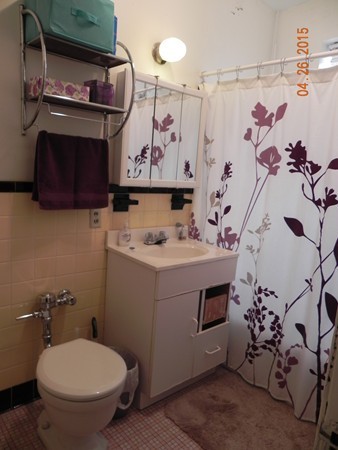 46 Chiswick Road, Unit 6 Boston, MA 02135 - Photo 7 of 11 Gallery Image 7