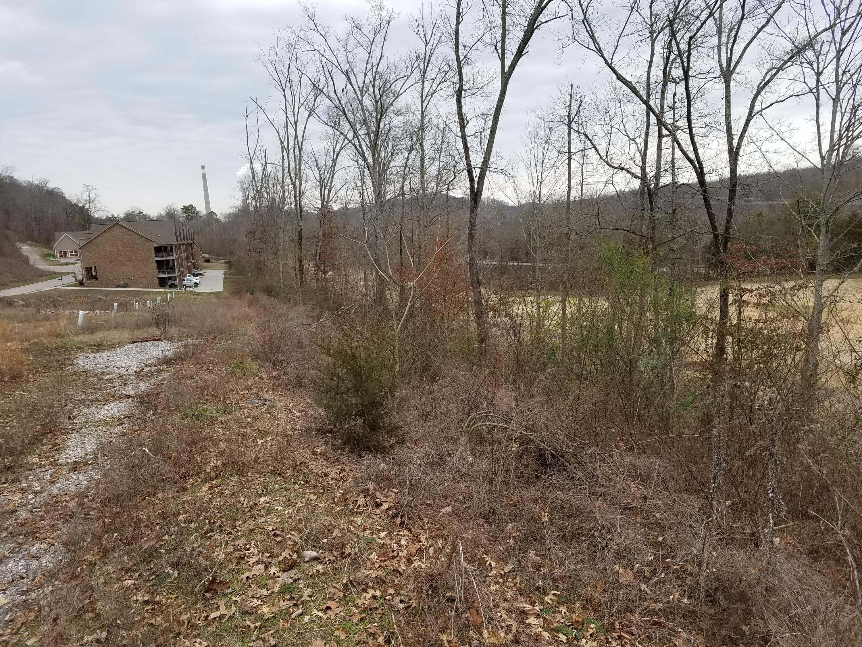 Park Meade Place Oak Ridge, TN 37830 - Photo 7 of 8 20170202_152444