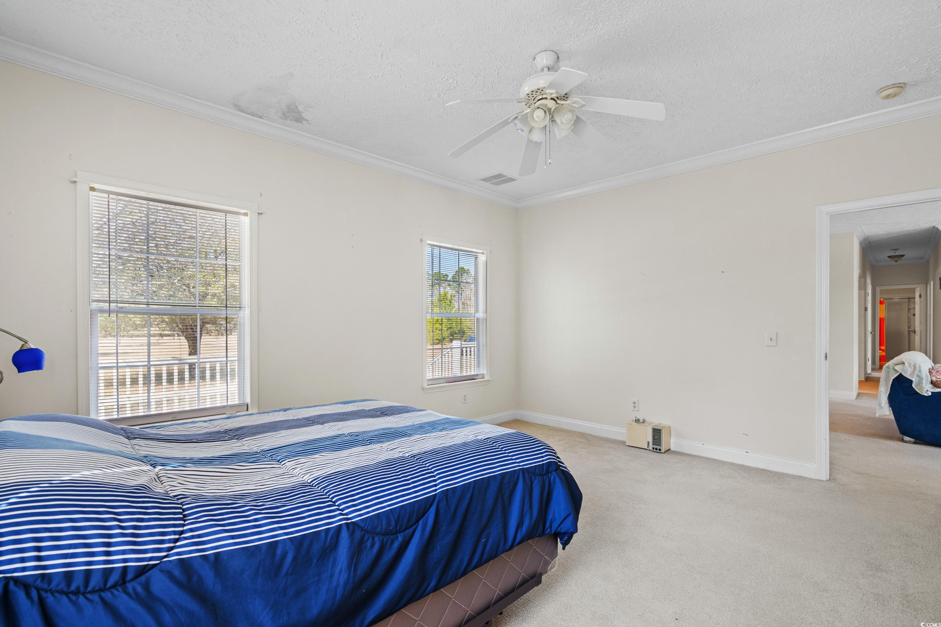 589 Loop Circle Longs, SC 29568 - Photo 19 of 40