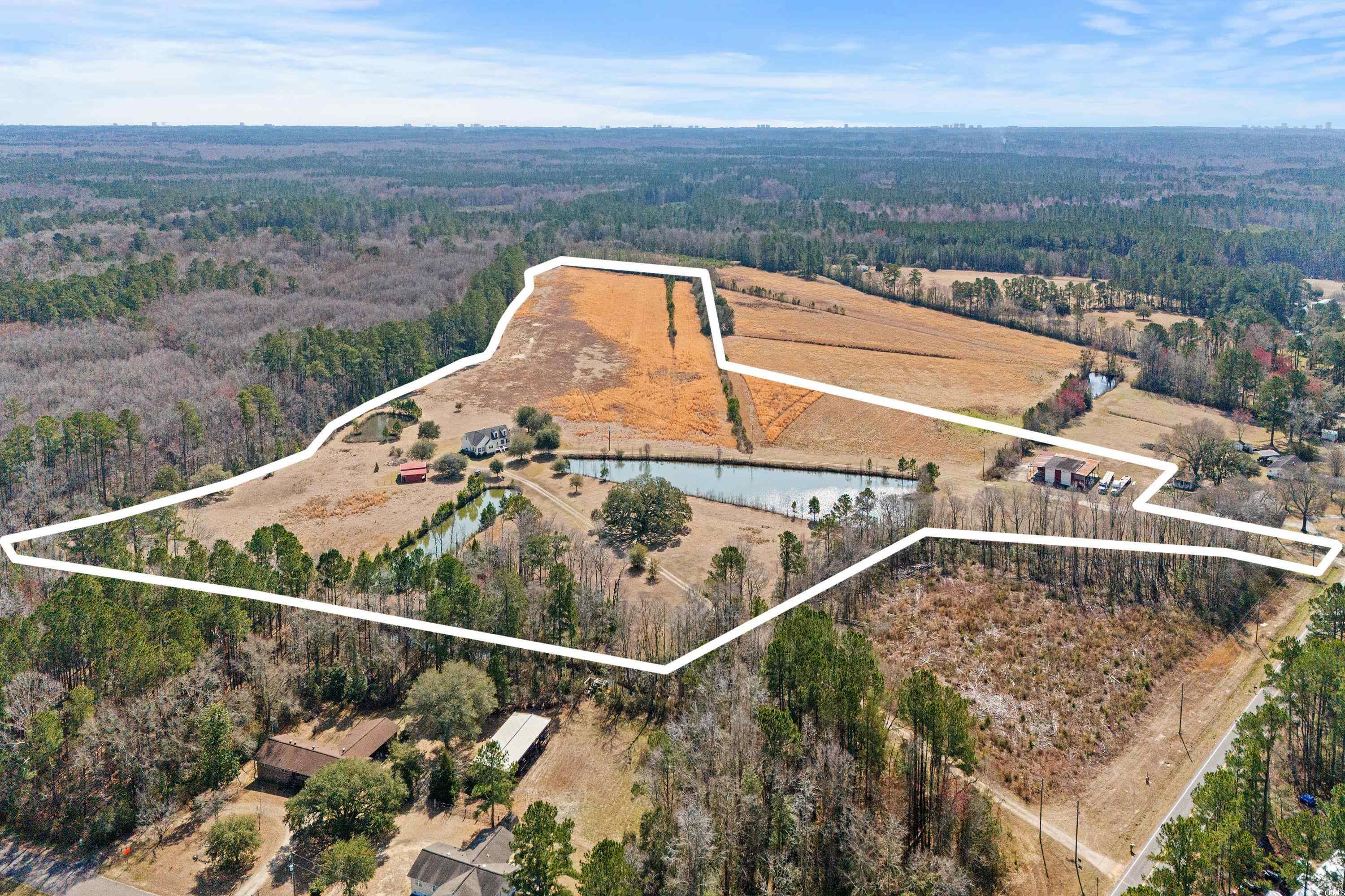 589 Loop Circle Longs, SC 29568 - Photo 2 of 40