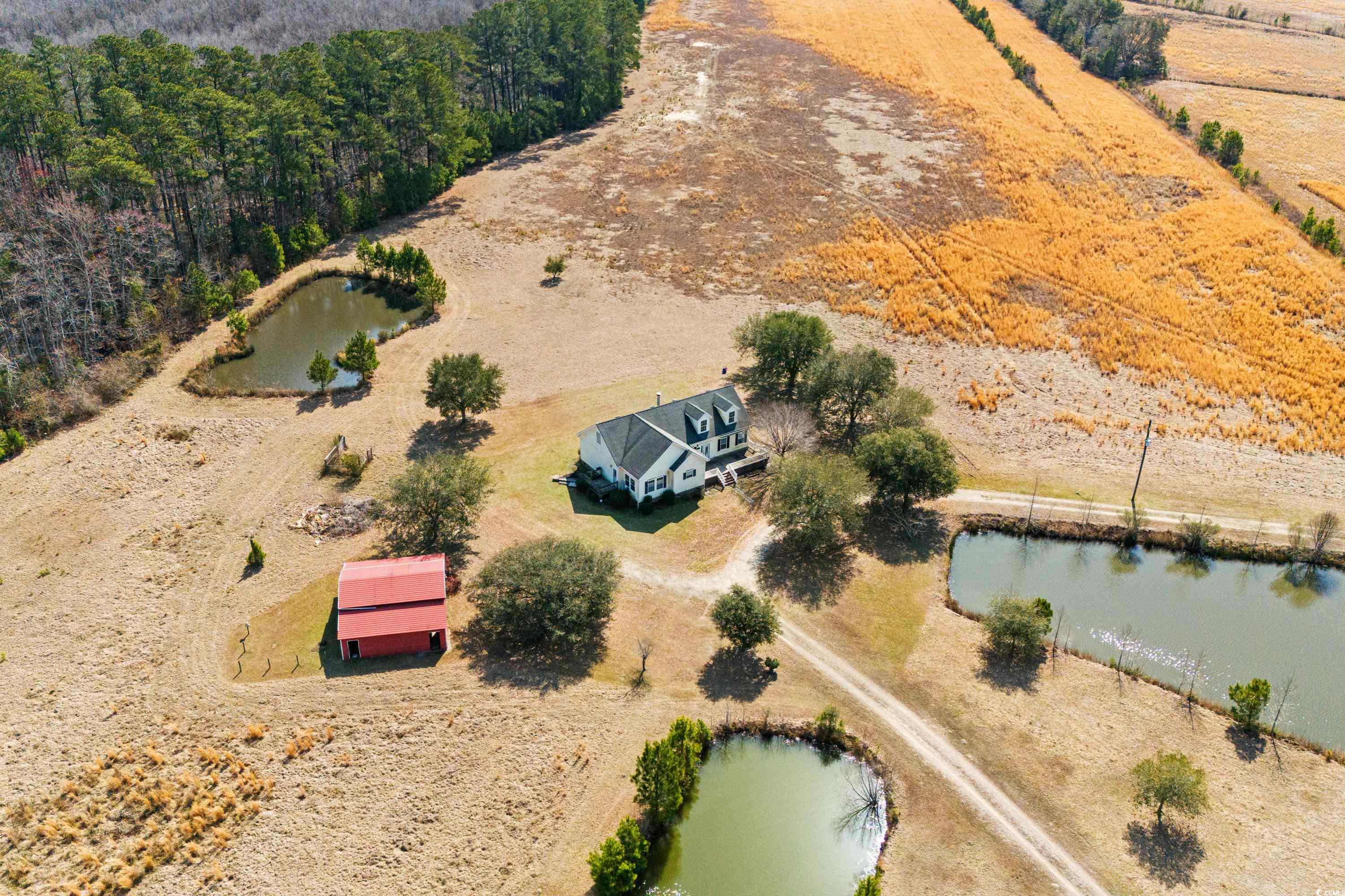 589 Loop Circle Longs, SC 29568 - Photo 3 of 40