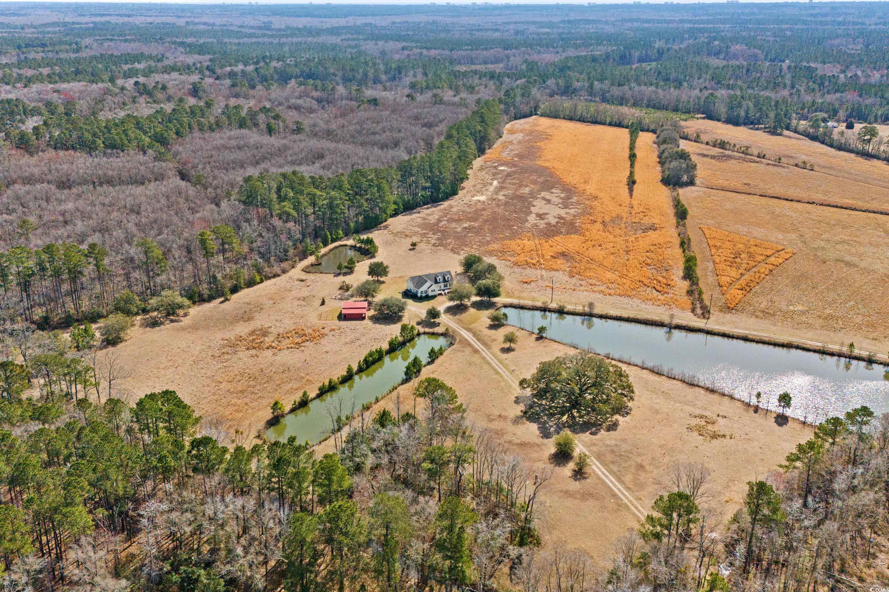 589 Loop Circle Longs, SC 29568 - Photo 31 of 40