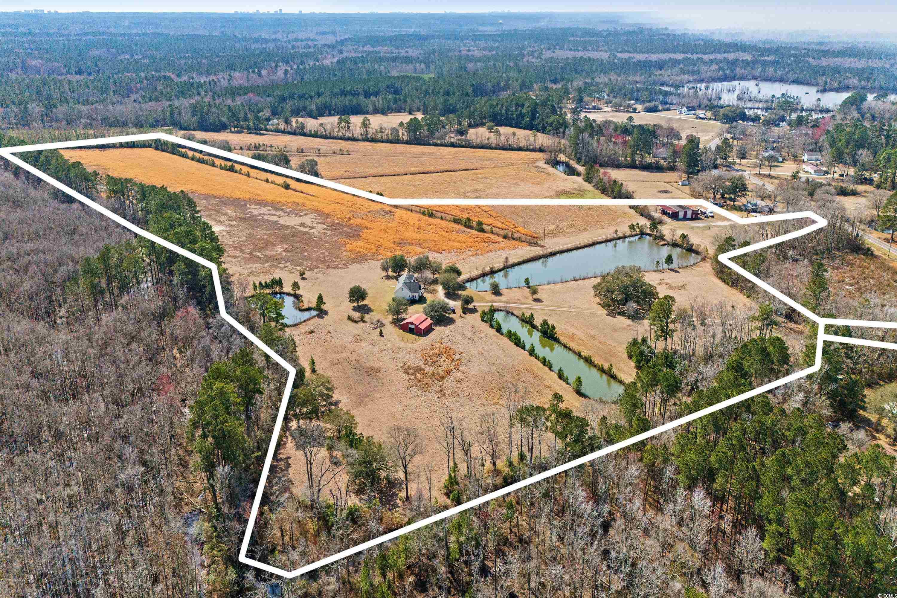 589 Loop Circle Longs, SC 29568 - Photo 32 of 40