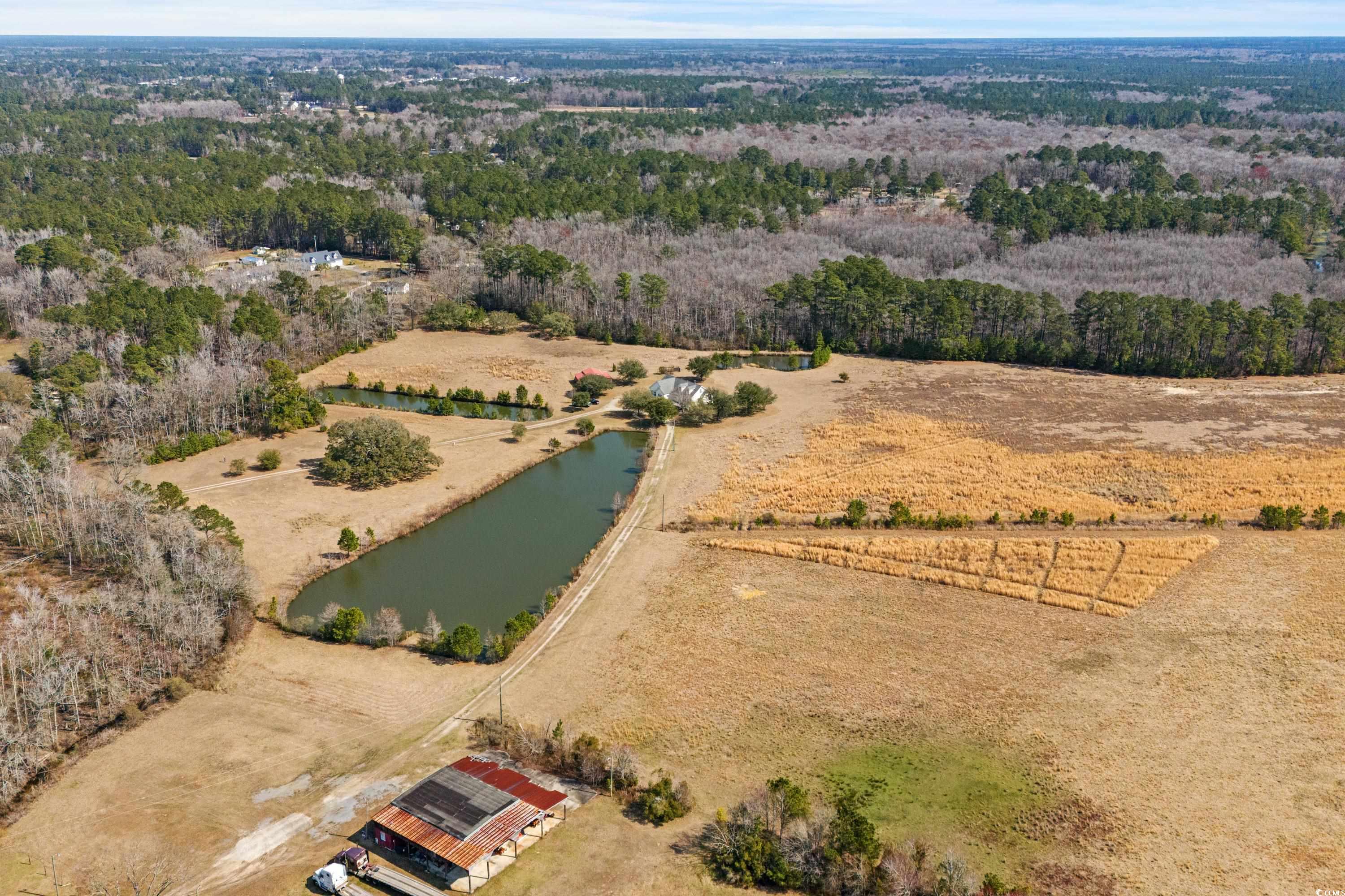 589 Loop Circle Longs, SC 29568 - Photo 39 of 40