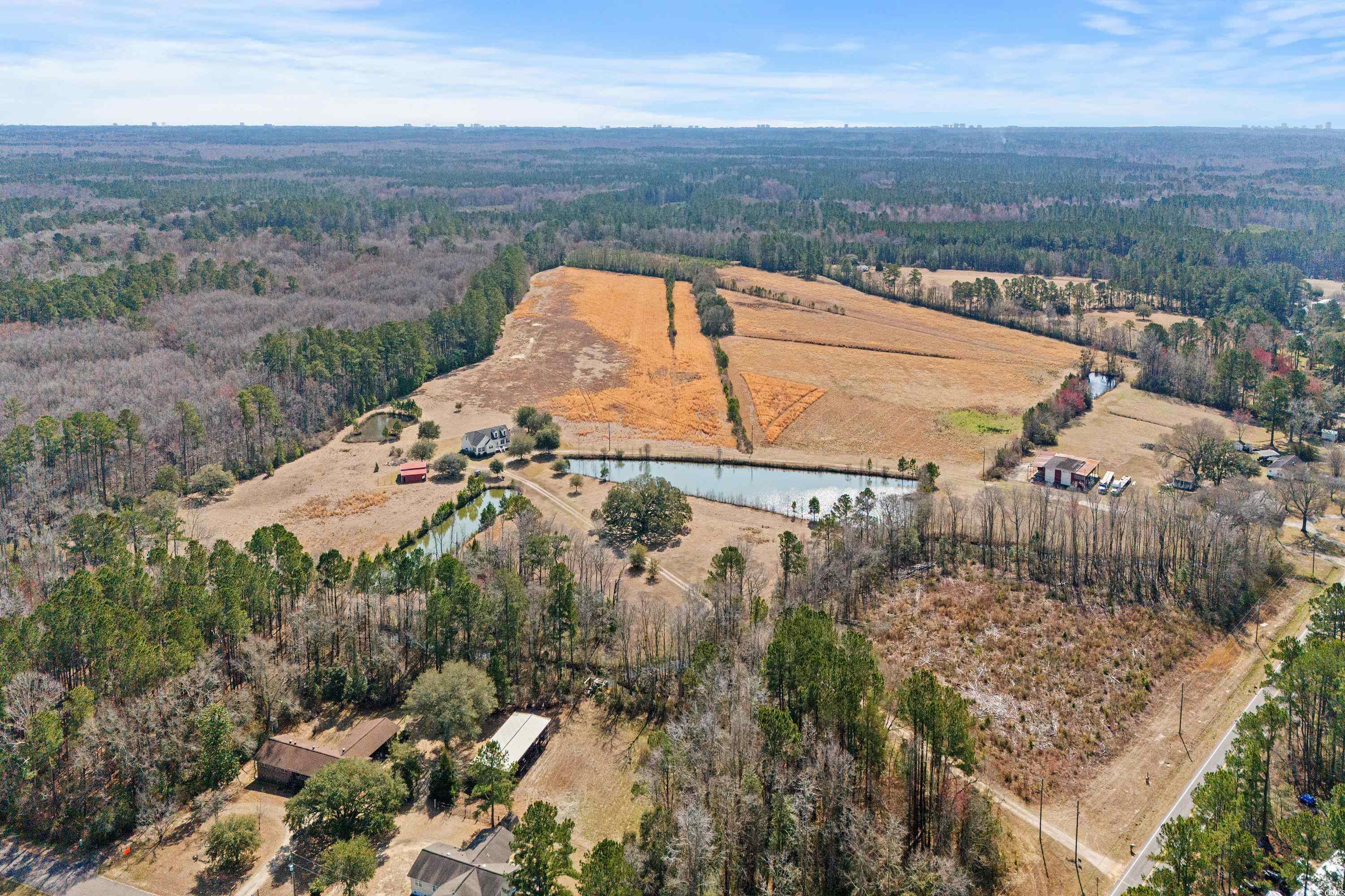 589 Loop Circle Longs, SC 29568 - Photo 5 of 40