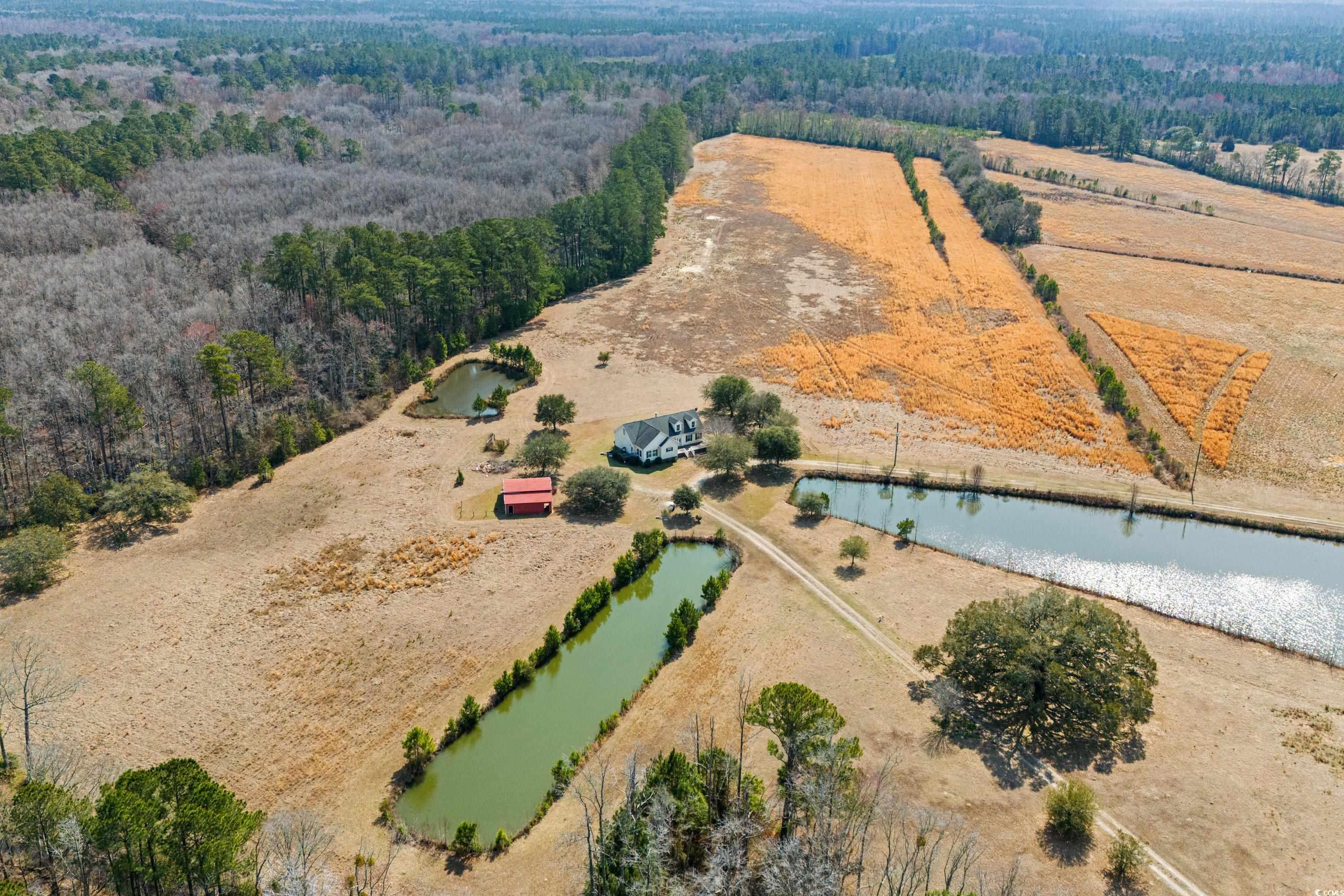 589 Loop Circle Longs, SC 29568 - Photo 6 of 40