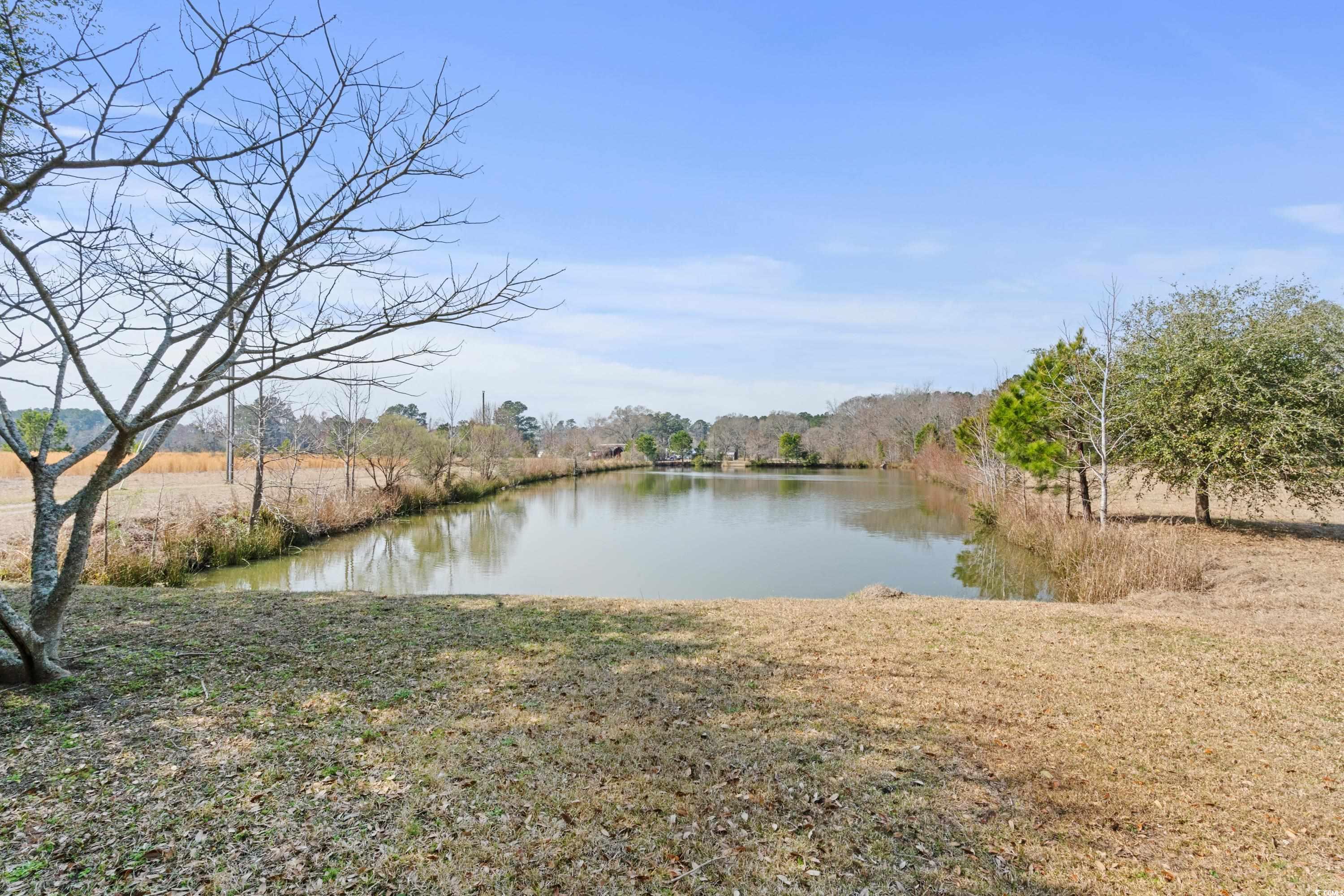 589 Loop Circle Longs, SC 29568 - Photo 9 of 40