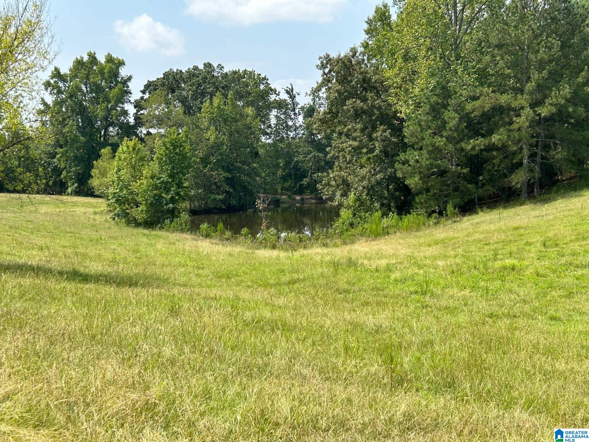3300 Floyd Road Wellington, AL 36279 - Photo 11 of 11