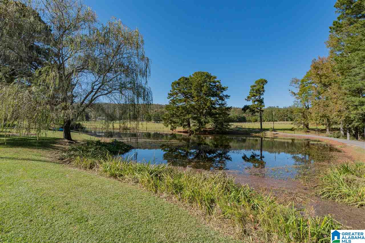 1300 Slasham Road Ashville, AL 35953 - Photo 40 of 50