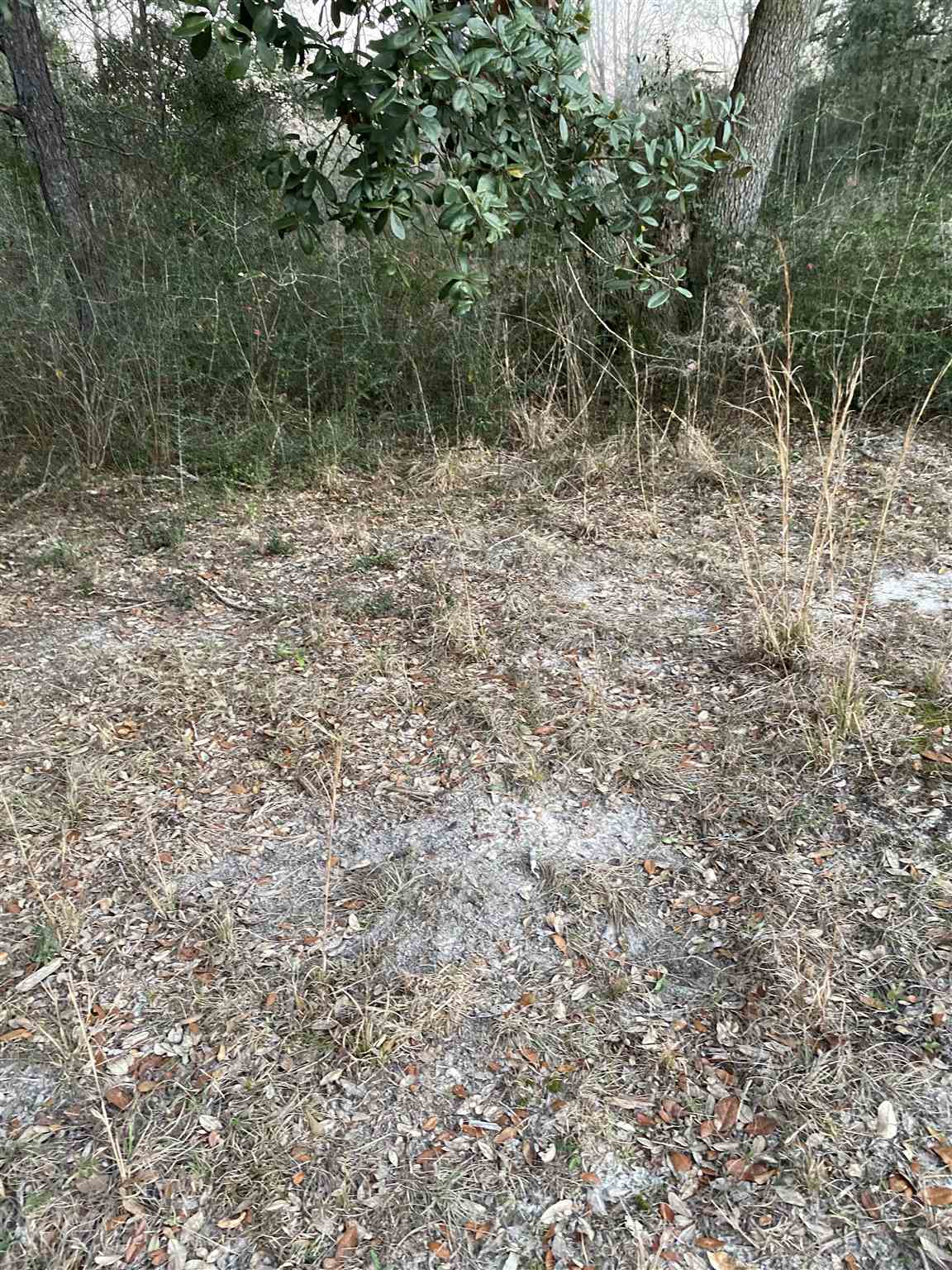 8250 Bucket Creek Road Milton, FL 32570 - Photo 6 of 12 Gallery Image 6