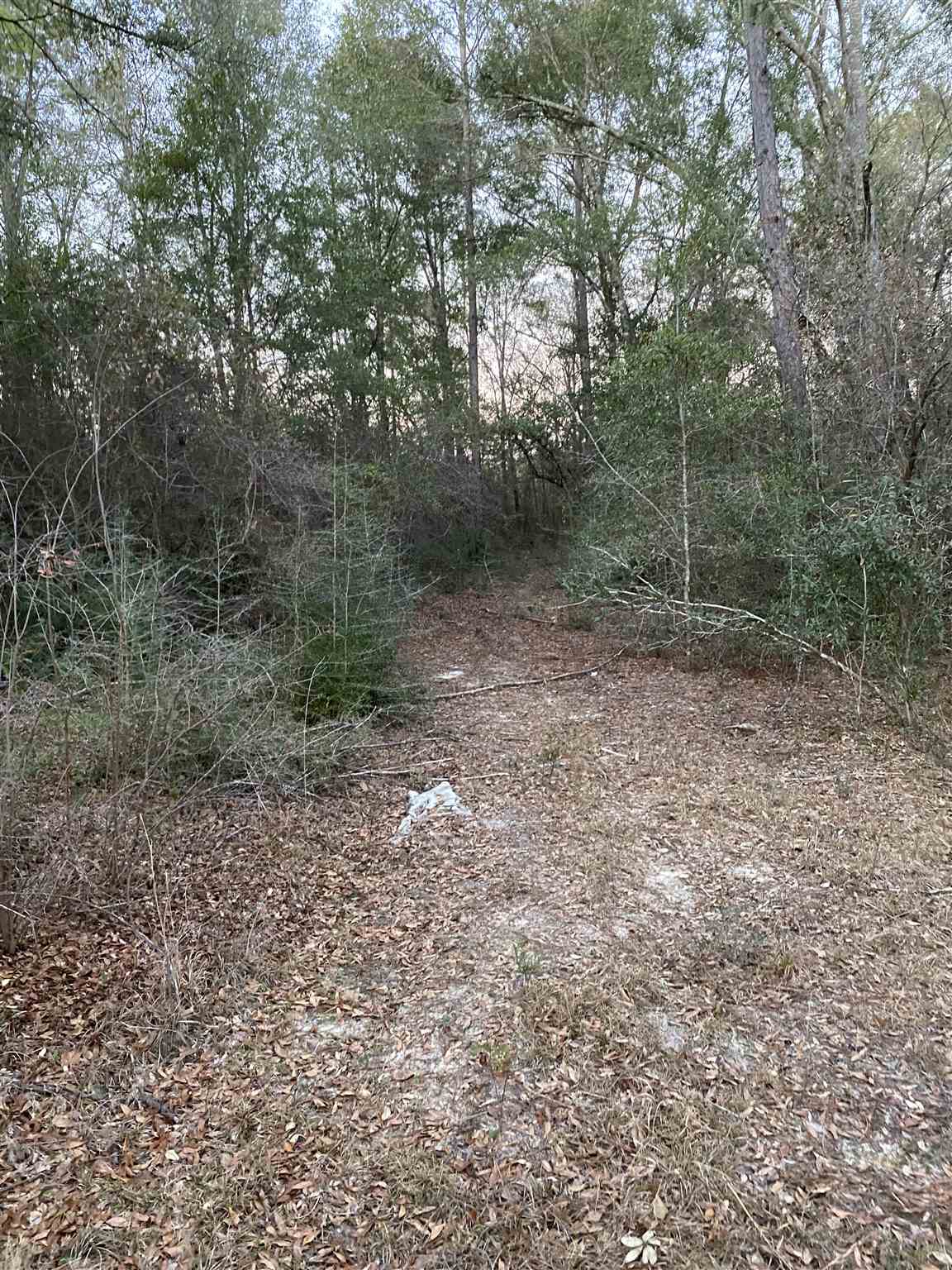 8250 Bucket Creek Road Milton, FL 32570 - Photo 8 of 12 Gallery Image 8