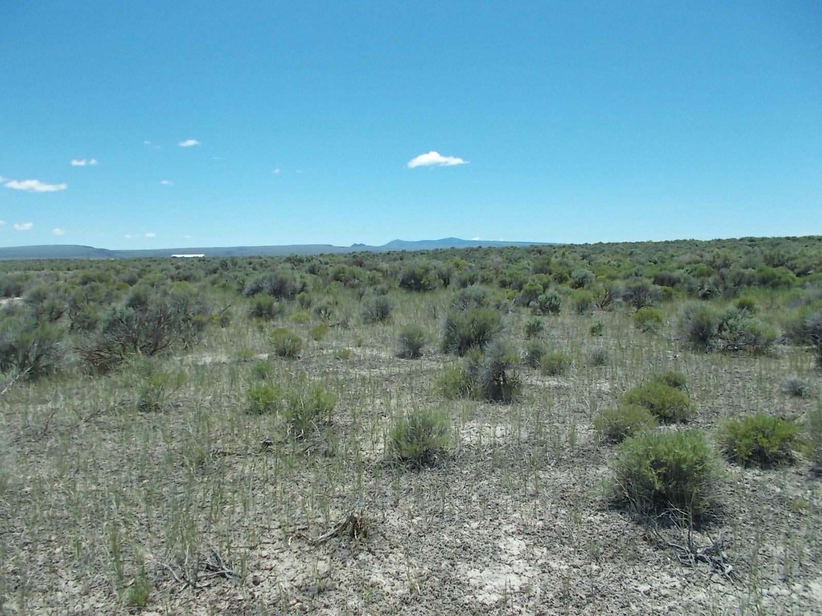 Lot 1200 Oil Dri Road Silver Lake, OR 97638 - Photo 5 of 9 north part of property