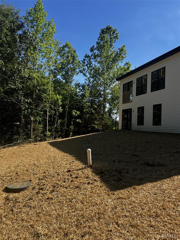 217 Red Mare Road Winfield, MO 63389 - Photo 6 of 9