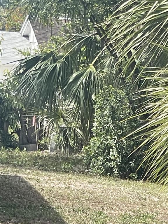 Jungle Way Sarasota, FL 34243 - Photo 5 of 6