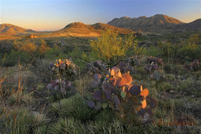 0 Morning Star Drive Rio Rico, AZ 85648 - Photo 7 of 9