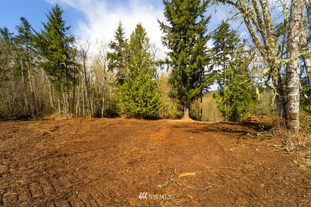 0 Oppelt Road Chehalis, WA 98532 - Photo 2 of 9 Gallery Image 2