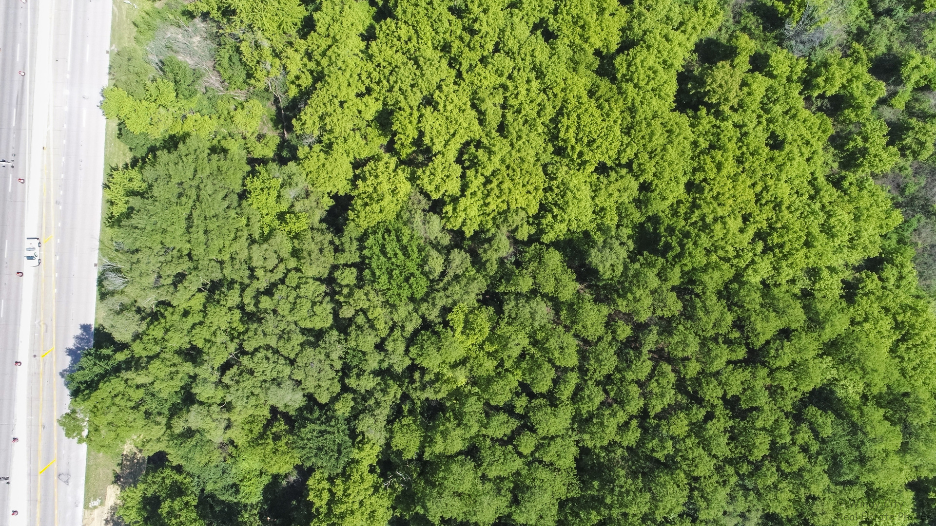 25 Elgin) Road Zion, IL 60099 - Photo 21 of 30 a view of a lush green forest