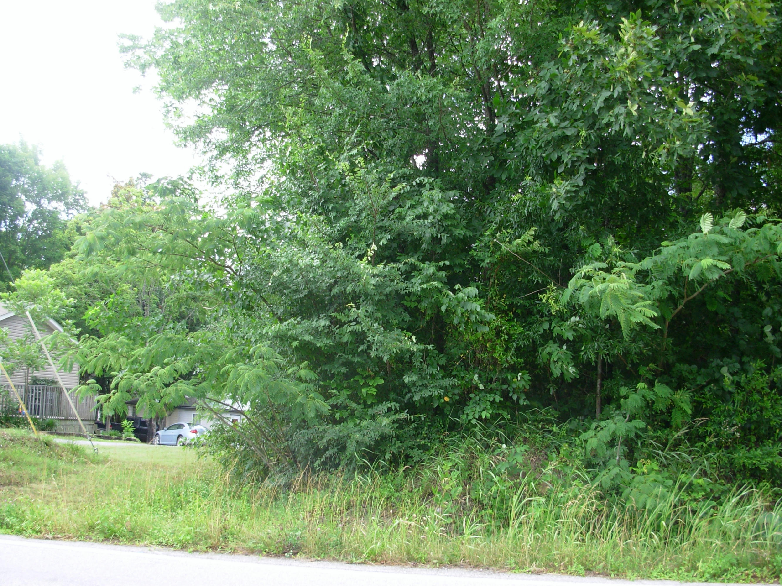 Lot 1-2 River Road Decatur, TN 37322 - Photo 3 of 9 River Road (3)