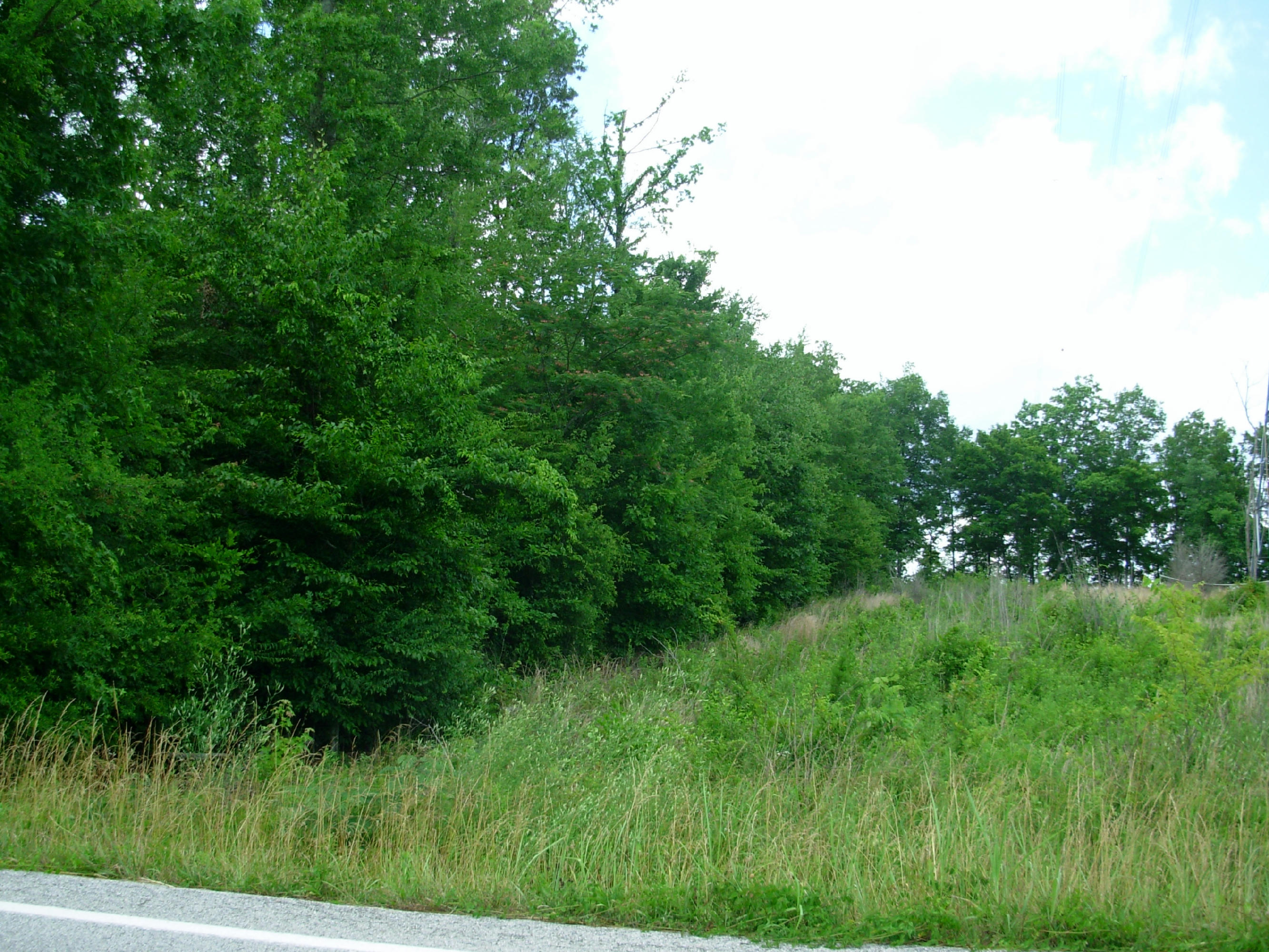 Lot 1-2 River Road Decatur, TN 37322 - Photo 6 of 9 River Road (6)