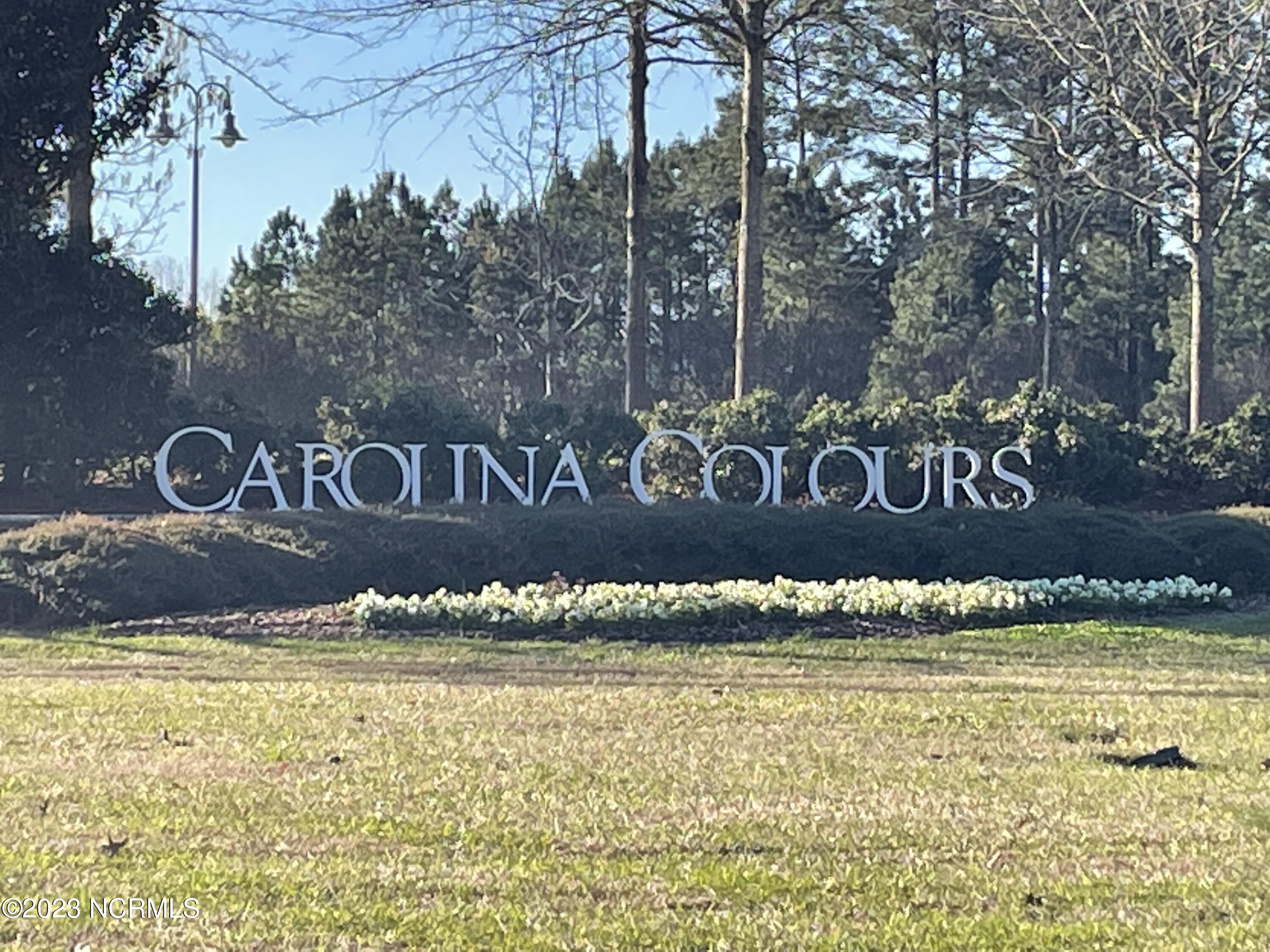 5002 Spring Green Pass New Bern, NC 28562 - Photo 11 of 13 Carolina Colours