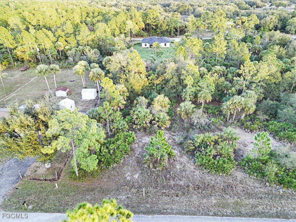 2310 Louis Avenue Alva, FL 33920 - Photo 12 of 32
