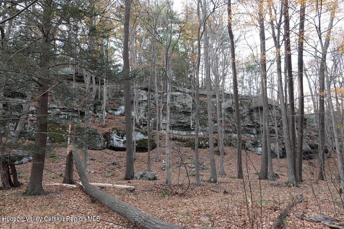 736 Manorville Road Saugerties, NY 12477 - Photo 3 of 10 a backyard of a house with lots of green space