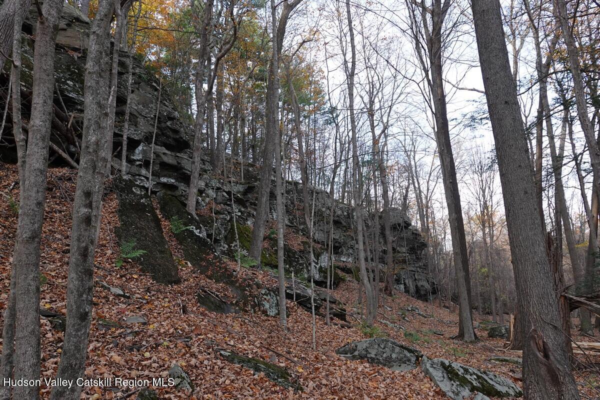 736 Manorville Road Saugerties, NY 12477 - Photo 4 of 10 a view of a forest with trees