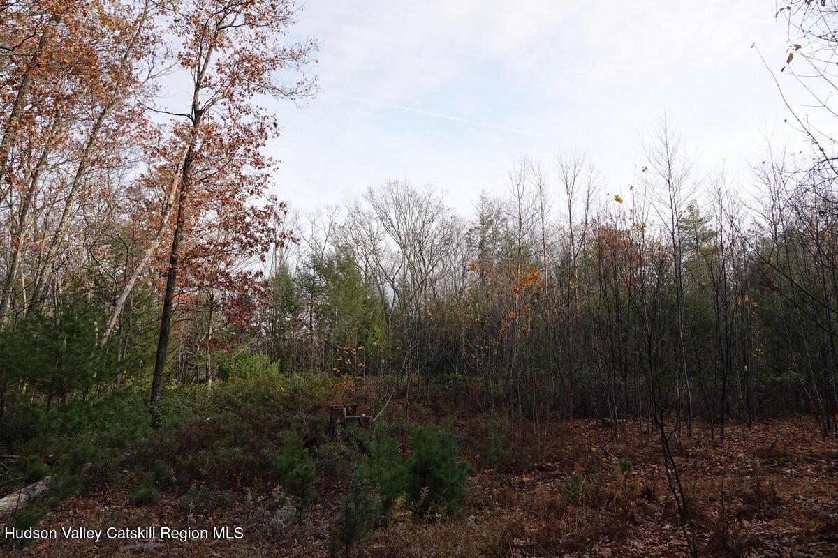 736 Manorville Road Saugerties, NY 12477 - Photo 5 of 10 a view of a yard